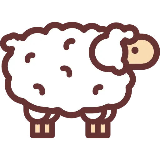 Cute Cartoon Sheep