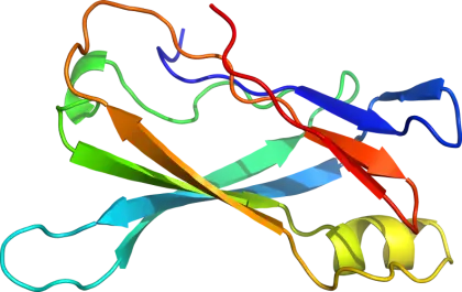 Colorful Representation of Protein Structure