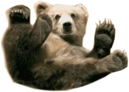 Bear in Sitting Position Illustration