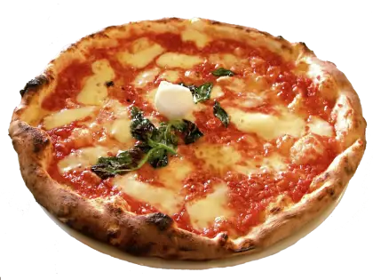 Delicious Cheese and Tomato Pizza