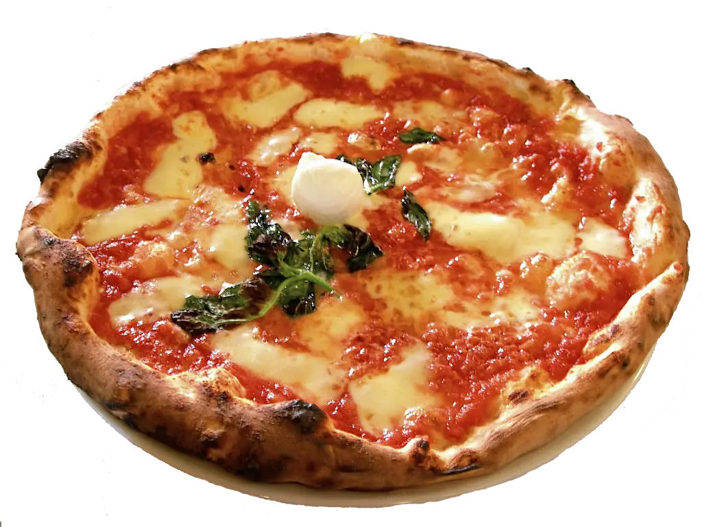 Delicious Cheese and Tomato Pizza
