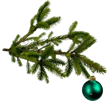 Christmas Branch with Ornament