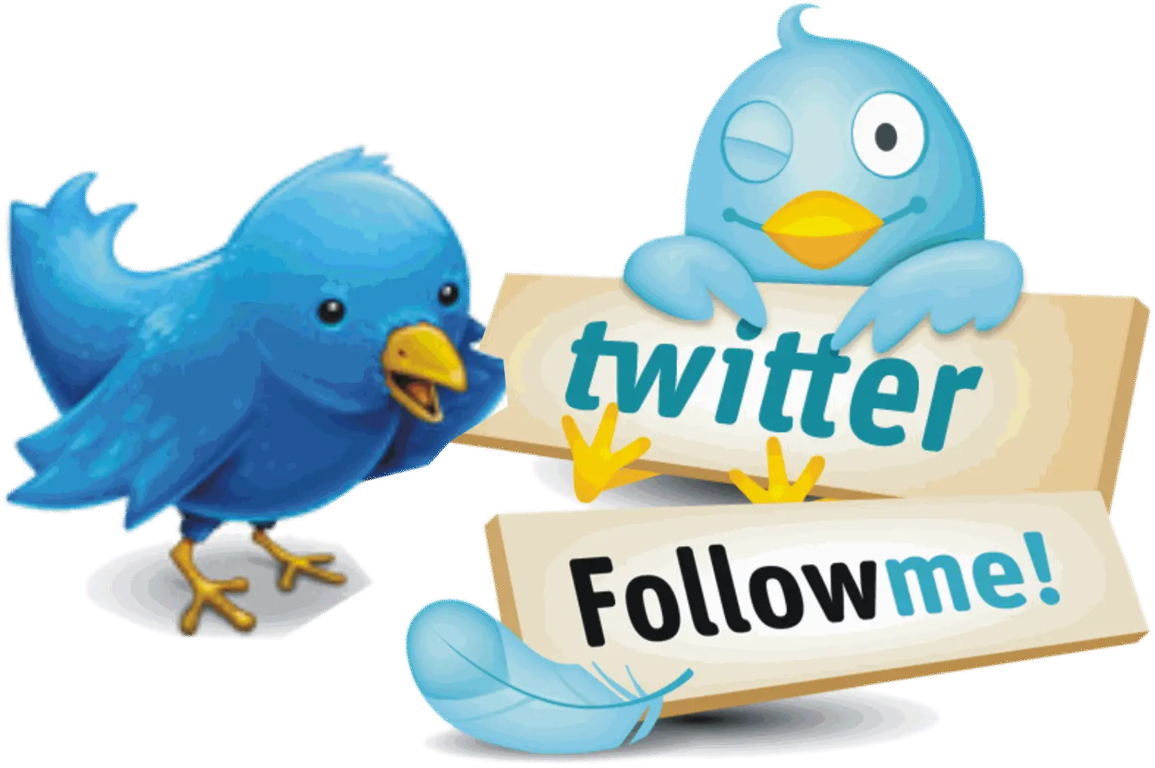 Twitter Bird Graphics with 'Follow Me' Signs