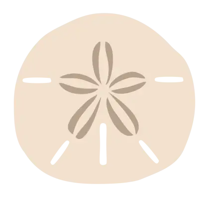 Beige Sand Dollar Illustration