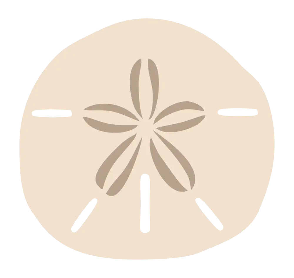 Beige Sand Dollar Illustration