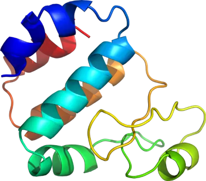 Molecular Protein Structure Illustration