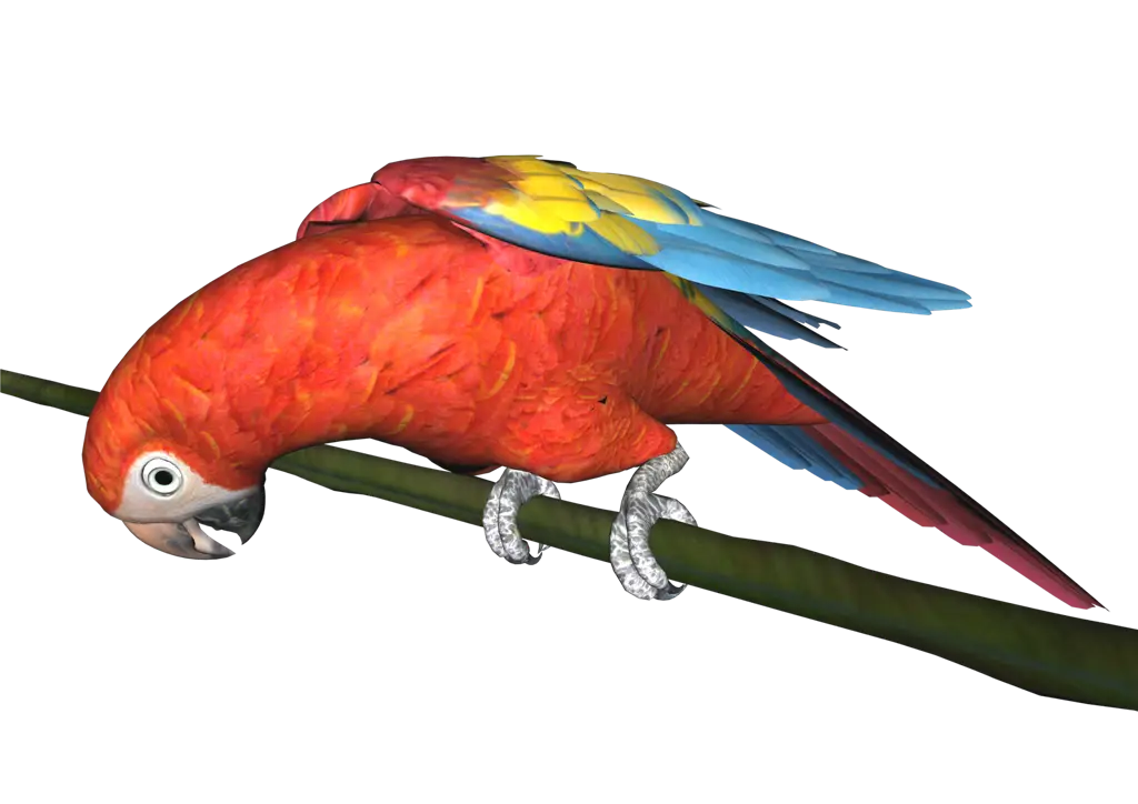 Colorful Macaw Parrot on Perch