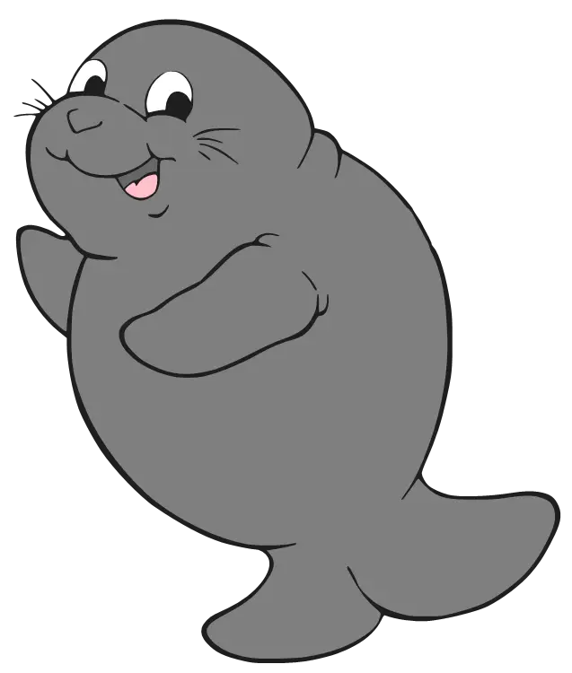 Cute Cartoon Seal
