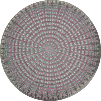 Microscopic Image of a Circular Pattern