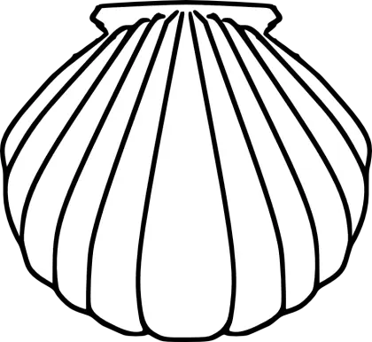 Simple Black and White Shell