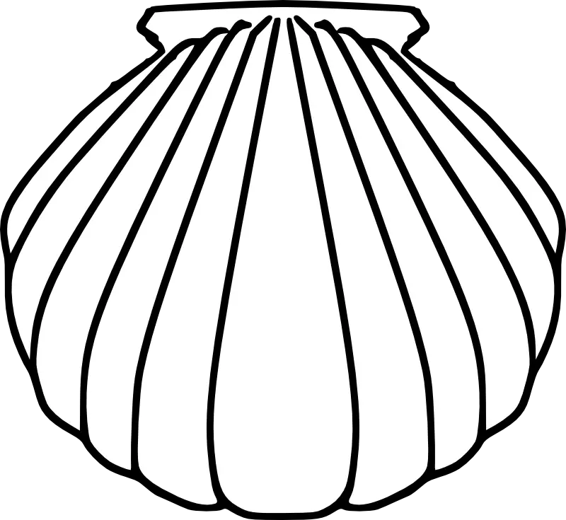 Simple Black and White Shell