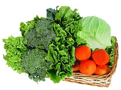 Fresh Basket of Vegetables