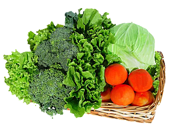 Fresh Basket of Vegetables