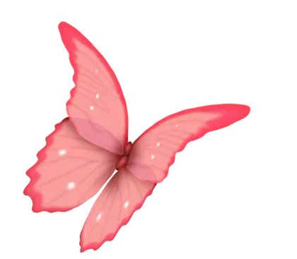 Pink Butterfly Illustration