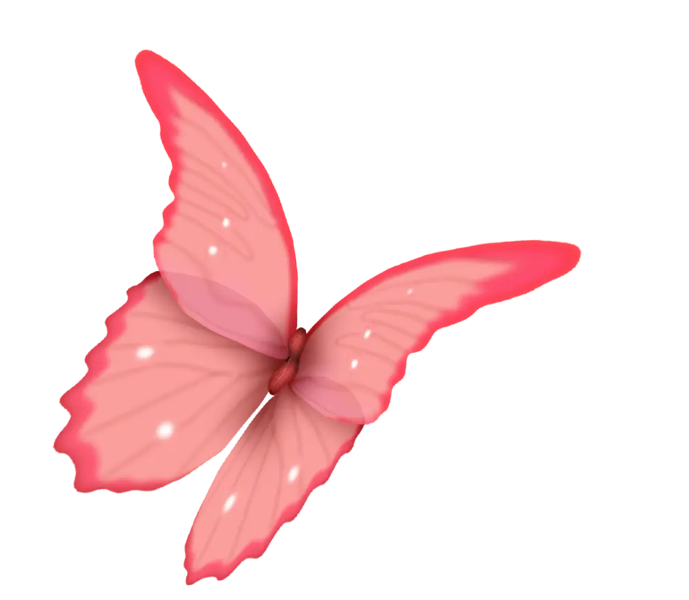 Pink Butterfly Illustration