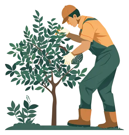 Gardener Tending to a Tree Illustration