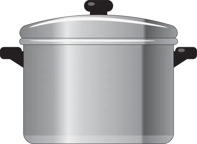 Stainless Steel Cooking Pot