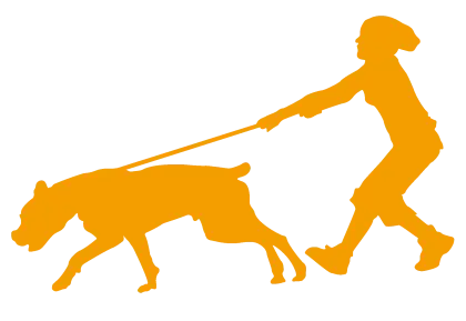 Orange Silhouette of Person Walking Dog