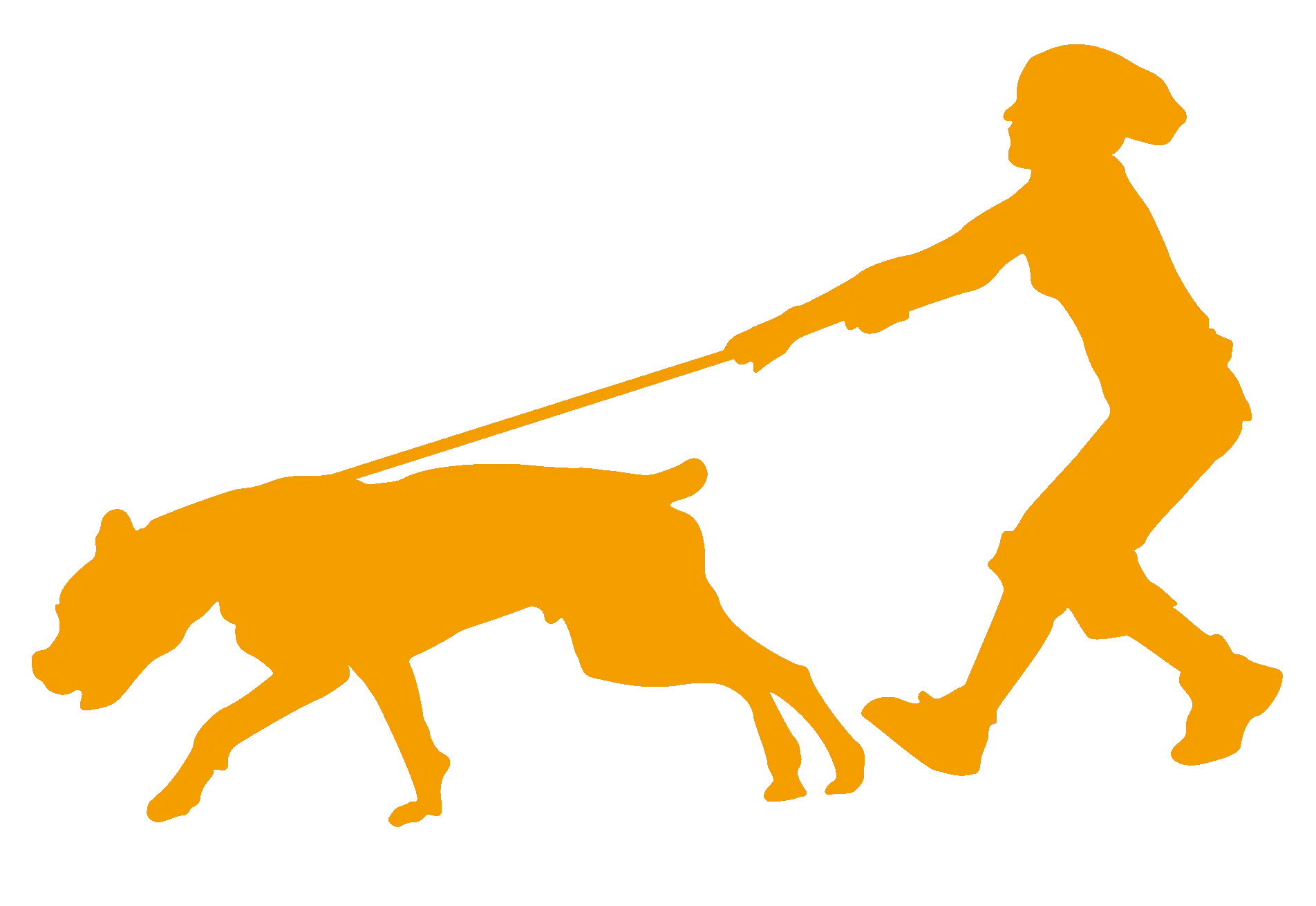 Orange Silhouette of Person Walking Dog
