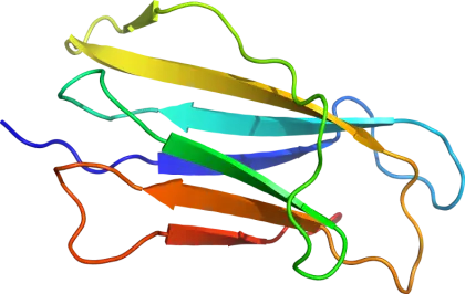 Colorful Protein Structure Illustration