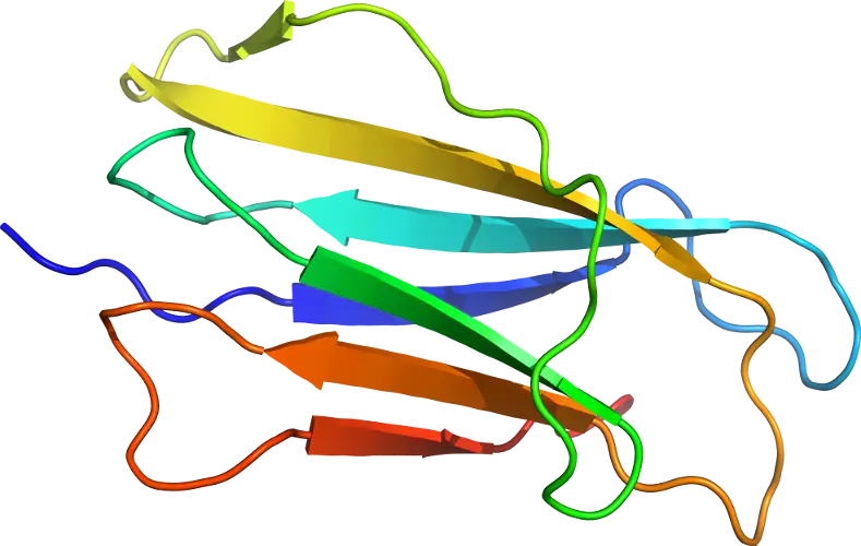 Colorful Protein Structure Illustration