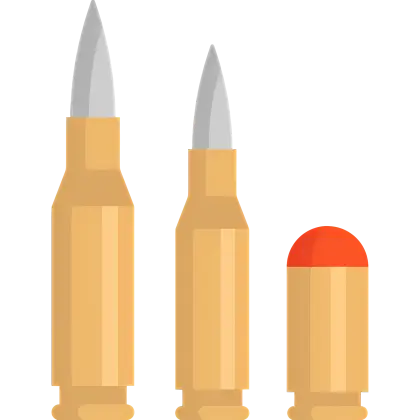 Various Types of Bullets
