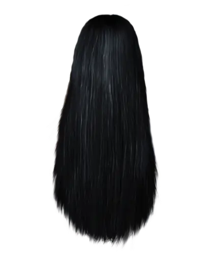 Black Straight Hair Wig