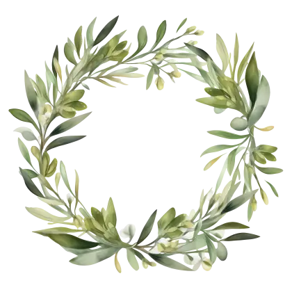 Green Olive Wreath Illustration with Natural Touch