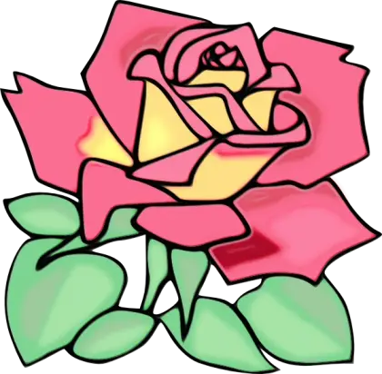 Pink and Yellow Rose Illustration