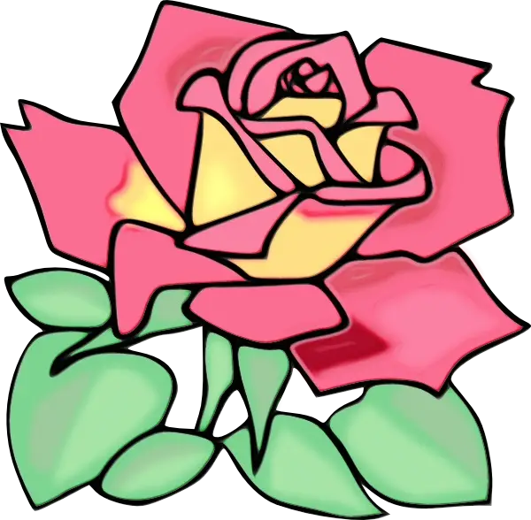 Pink and Yellow Rose Illustration