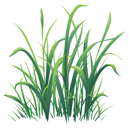 Lush Green Grass Illustration for Nature Concept