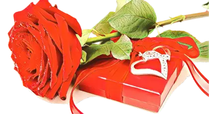 Red Rose and Gift Box with Heart Decoration