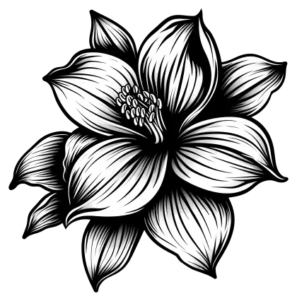 Black and White Flower Illustration