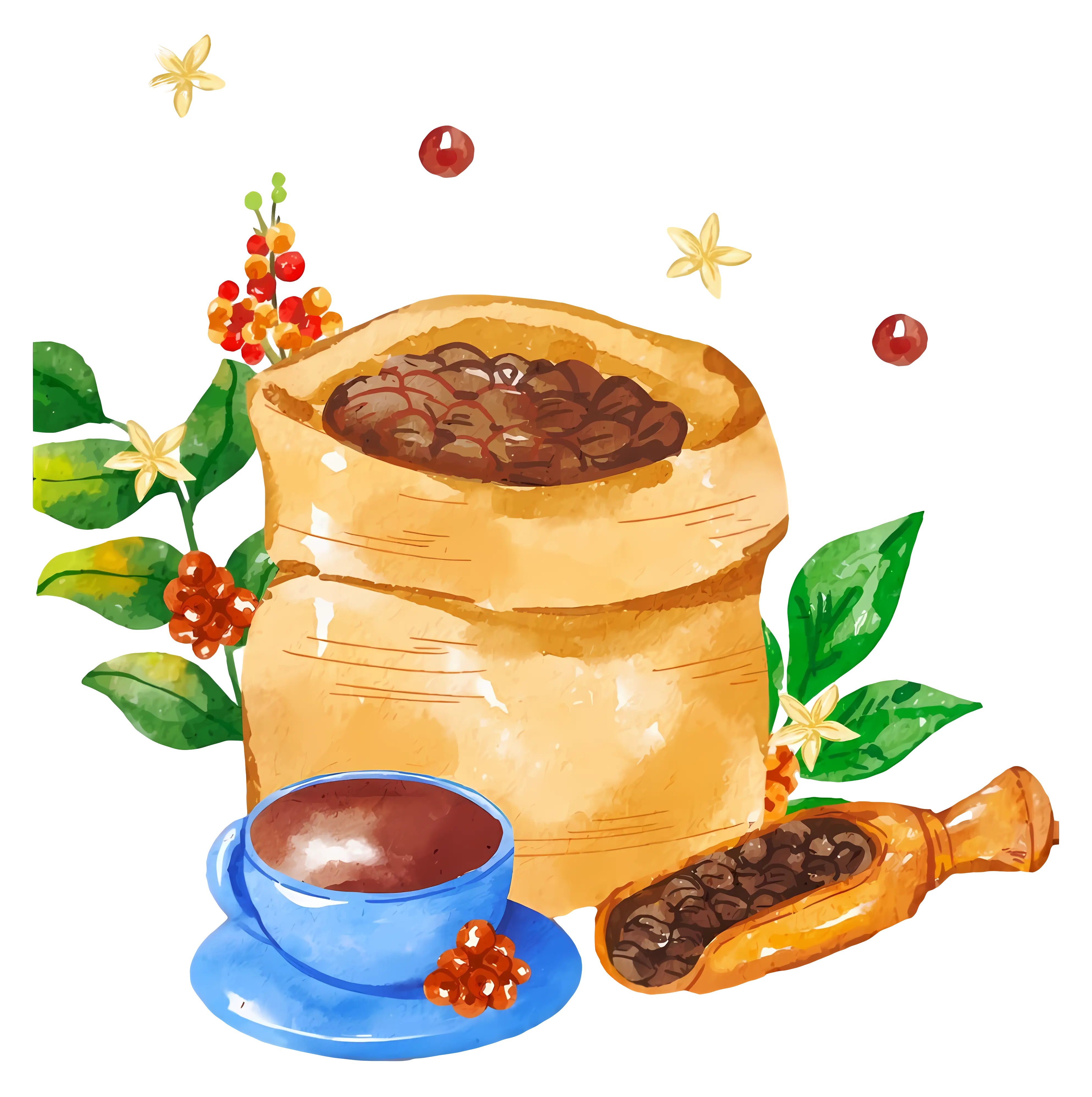 Coffee Beans and Cup Illustration