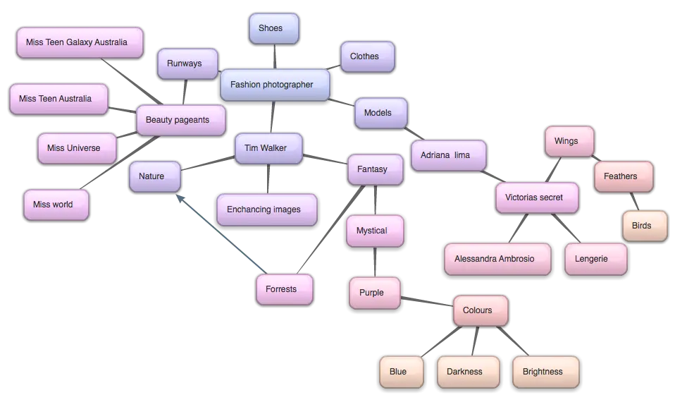 Conceptual Flowchart for Organization and Ideas