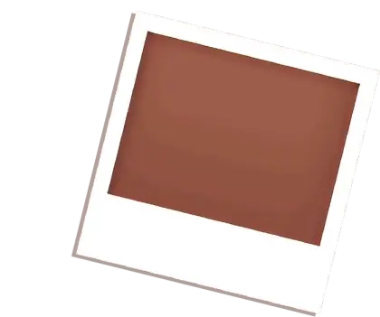 Blank Polaroid Photo Frame with Brown Background