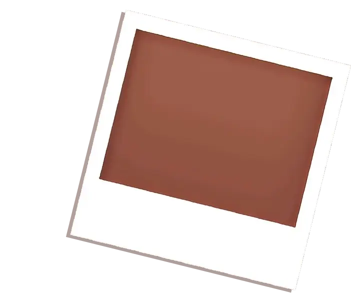 Blank Polaroid Photo Frame with Brown Background