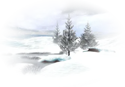 Snowy Landscape with Pine Trees