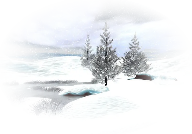 Snowy Landscape with Pine Trees