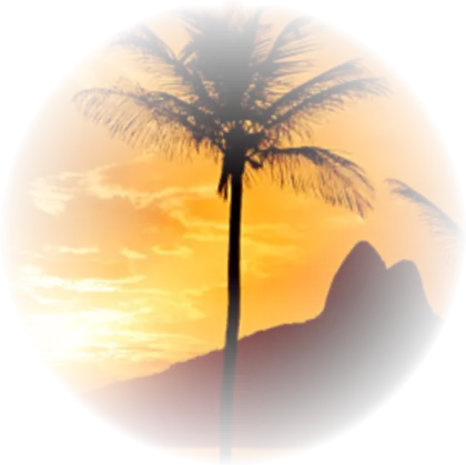 Palm Tree Silhouette at Sunset