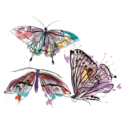 Colorful Watercolor Butterfly Illustration