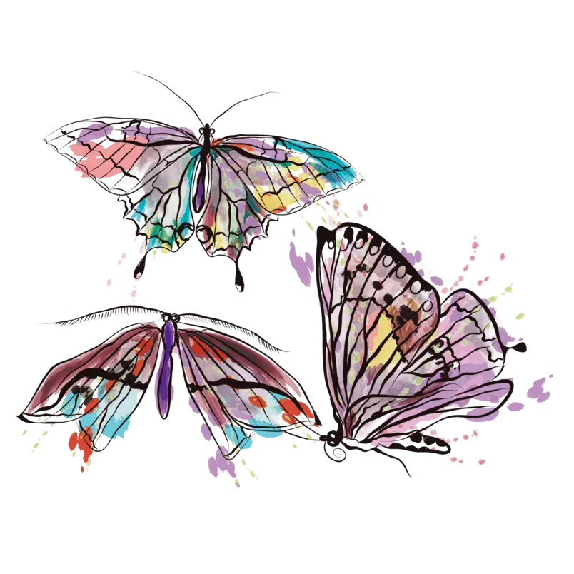 Colorful Watercolor Butterfly Illustration