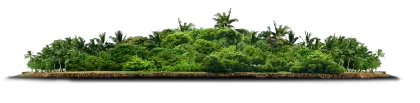 Lush Green Island
