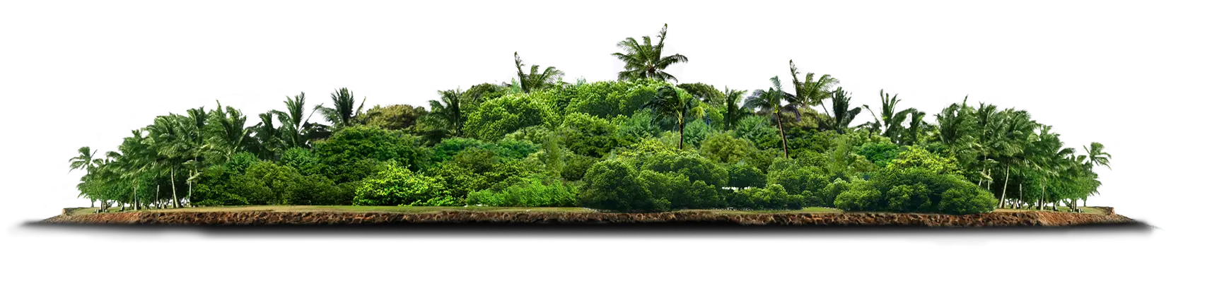 Lush Green Island