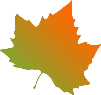 Autumn Leaf Illustration