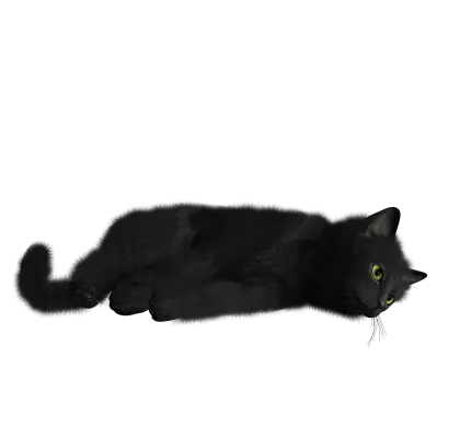Relaxing Black Cat with Green Eyes