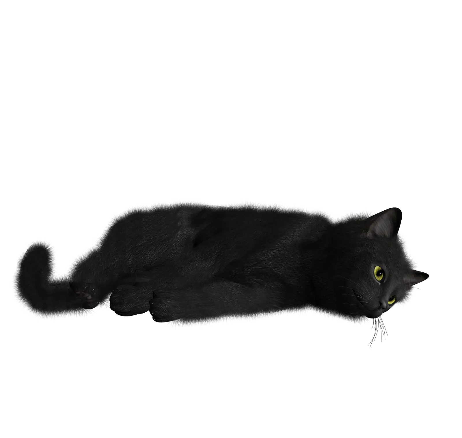 Relaxing Black Cat with Green Eyes