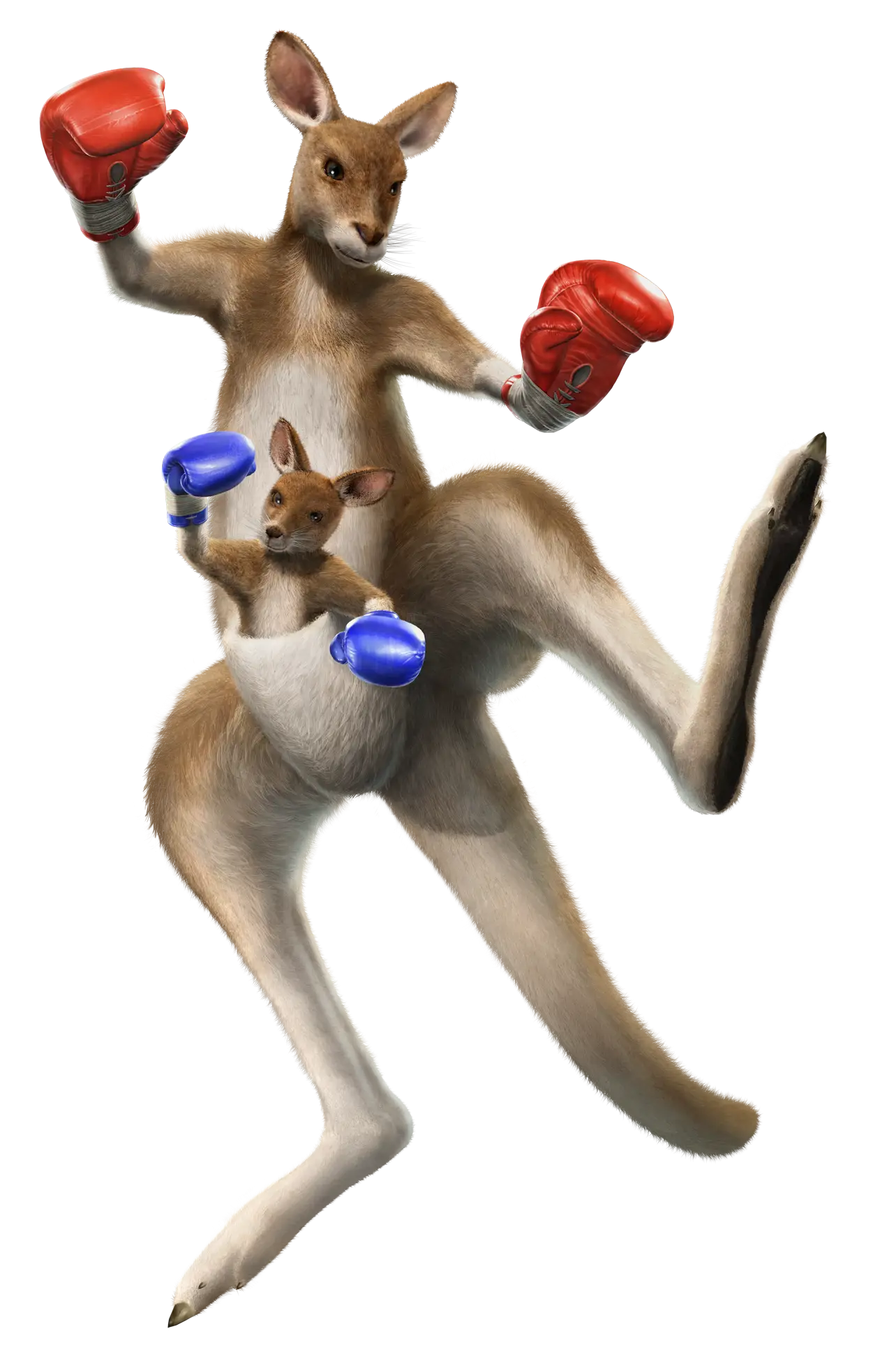 Boxing Kangaroo with Joey