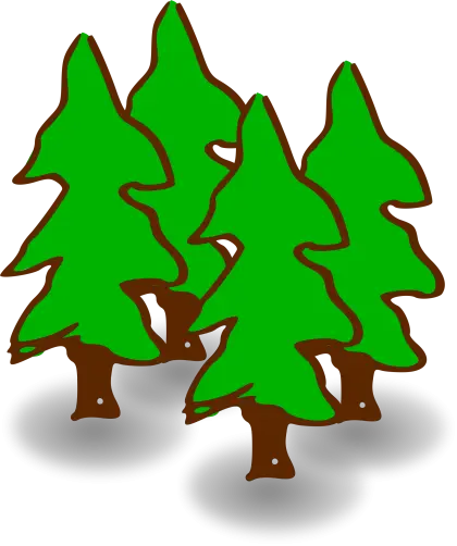 Green Pine Trees Illustration