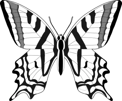 Monochromatic Black and White Butterfly Illustration